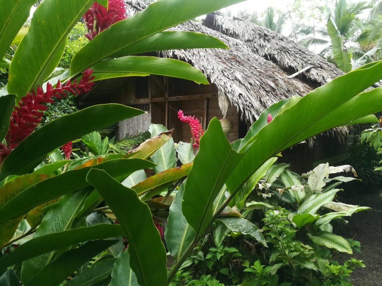 Posada Villamaga El Valle  المظهر الخارجي الصورة