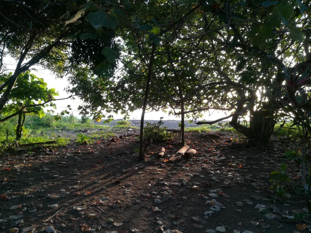 Posada Villamaga El Valle  المظهر الخارجي الصورة